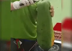 Sugarcane Peeling Knife