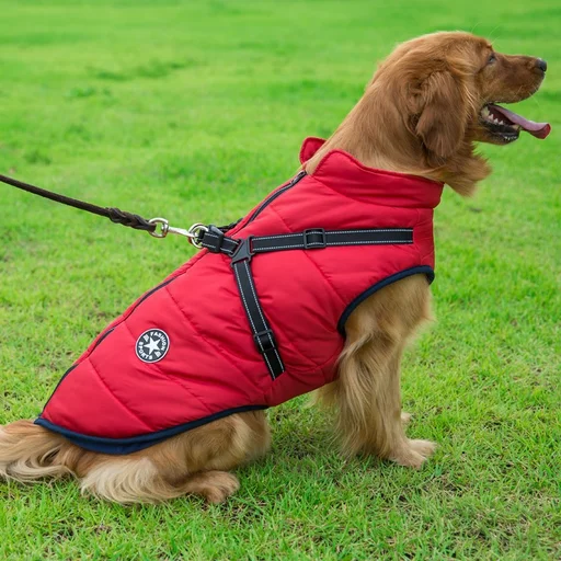 Pet Winter Jacket with Harness