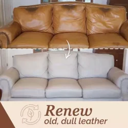 Original Leather Recoloring Balm